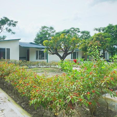 Sukoon - A Wellness Resort, Uttarakhand Chuharpur Eksteriør bilde