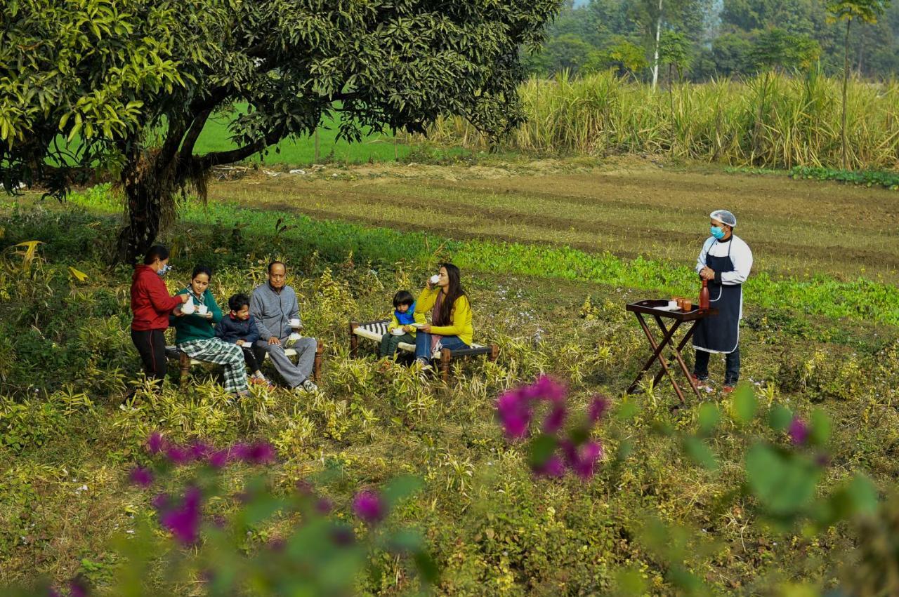 Sukoon - A Wellness Resort, Uttarakhand Chuharpur Eksteriør bilde