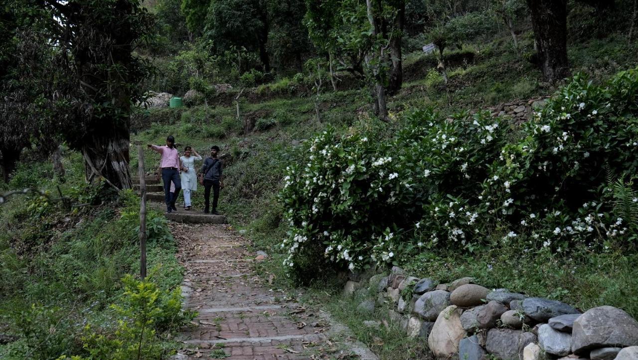 Sukoon - A Wellness Resort, Uttarakhand Chuharpur Eksteriør bilde