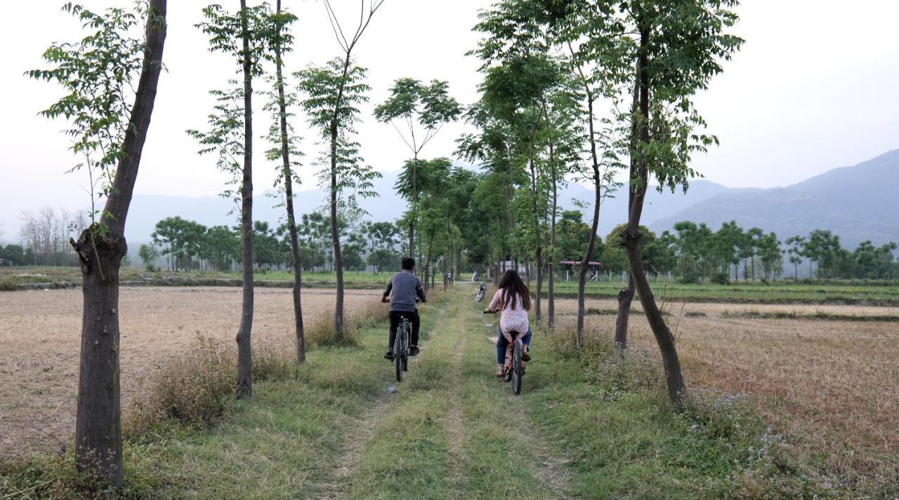 Sukoon - A Wellness Resort, Uttarakhand Chuharpur Eksteriør bilde